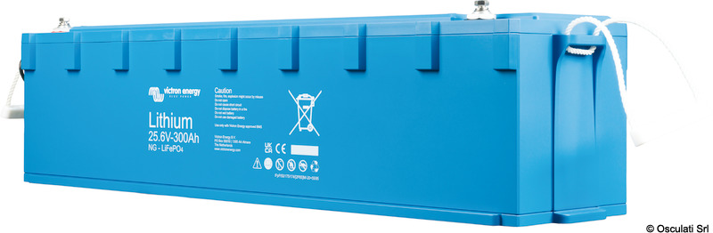 LiFePO4 Battery 25,6V/300Ah NG