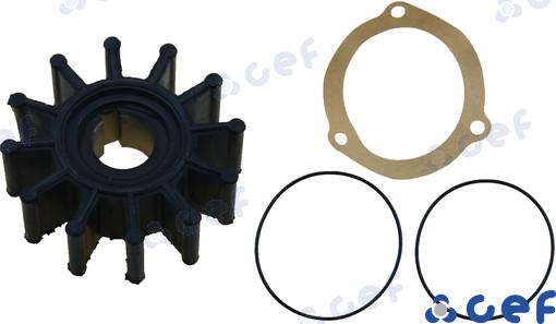 Water pump rotor OEM: Yanmar: 128620-42200; OMC: 229826; Westerbeke: 302875; Sherhood: 9000K
