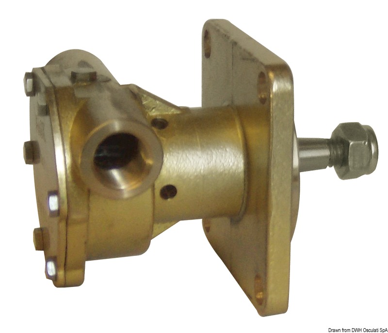 Nauco 324485 pump