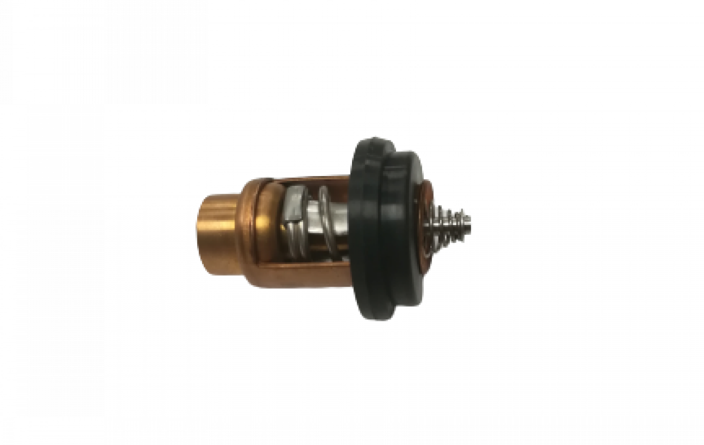 Thermostat Parsun T15-04000010