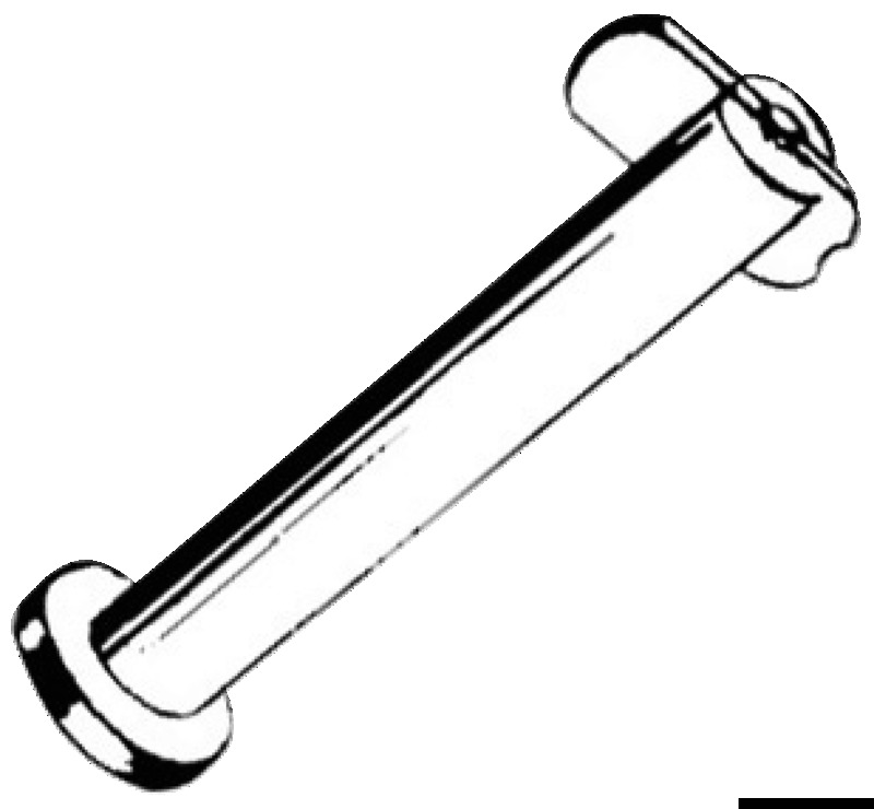 SS drop nose pin 10 x 25mm