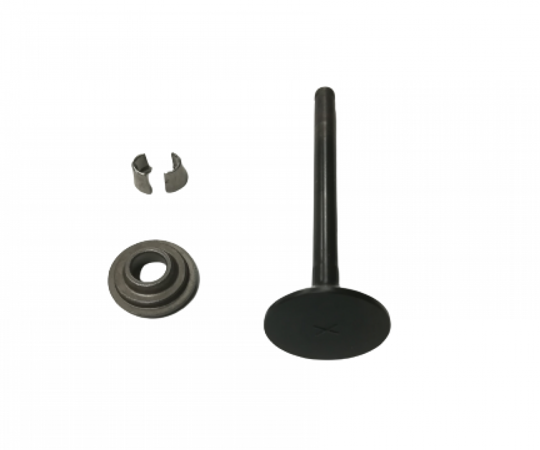 Exhaust valve kit. Mercury 8M0079162