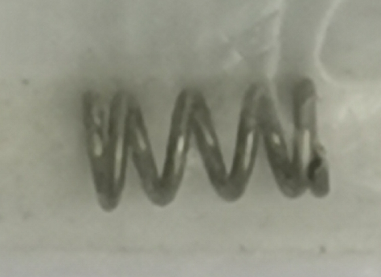 Spring. Tohatsu 24-16264003