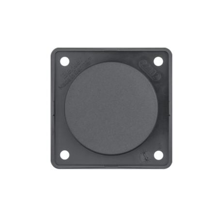 Berker Blind plate antracite