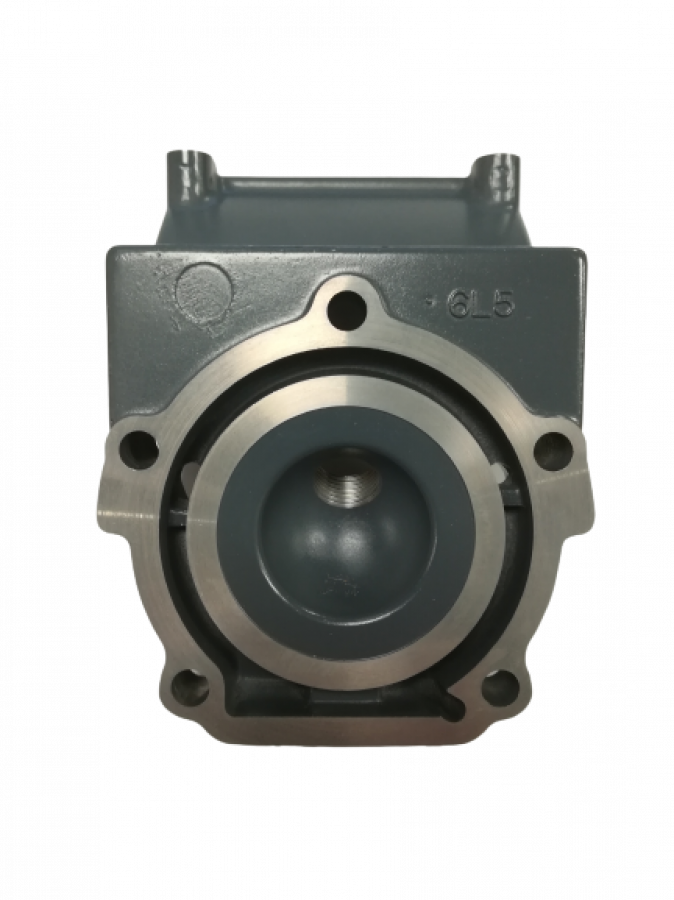 Cilindra galva Yamaha Malta 6L5-11111-00-1S