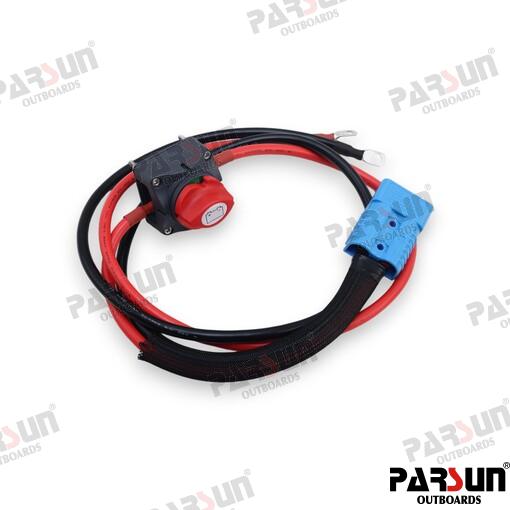 Электродвигатель Parsun Joy 6 kw Rumpelis Std