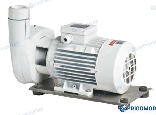 sea water pump b-nm40/12a/b (2,2 kw)