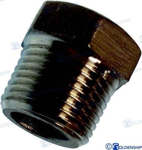 hex head plug aisi 316 2"