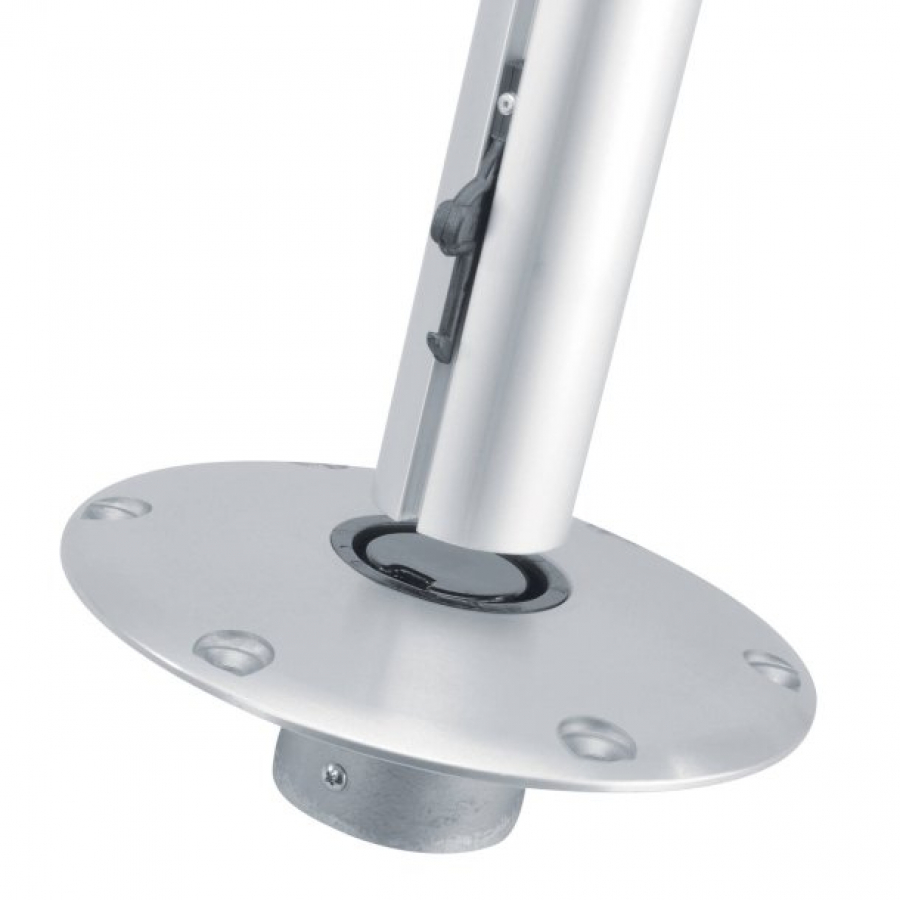 Pamatne - Springfield - 9 collas  23cm