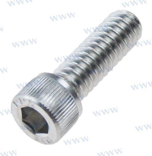 sc soc cap 1/4-20x3/4l 316ss