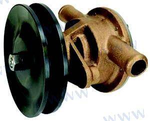 yanmar water pump