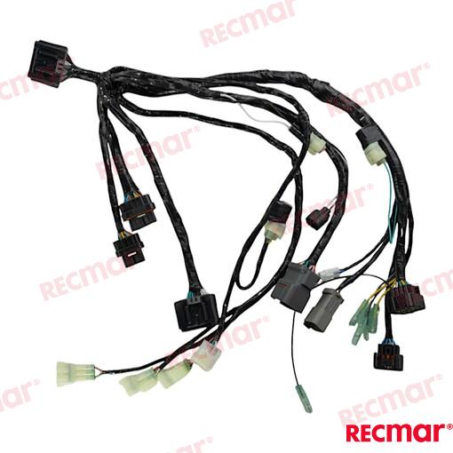 Harness Assy Bcm No.1 Sngl