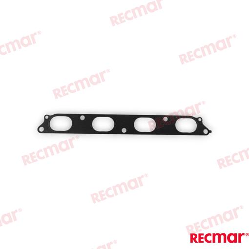 Intake Gasket