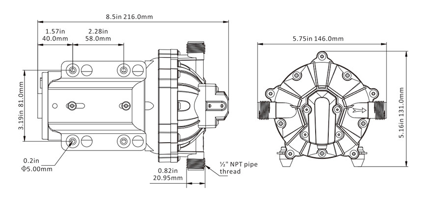washdown water pump kit SEAFLO 24v 5.0/18.9lpm Series 51