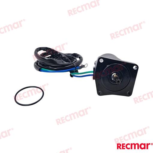 Trim motor Parsun, 65W-43880-00; 65W-43880-01; 65W-43880-10; 67C-43880-0100; 67C-43880-00; 67C-43880-01